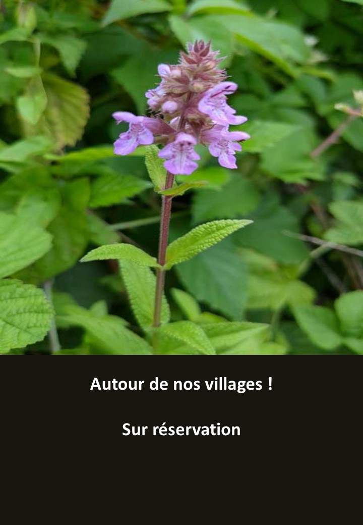 Village2
