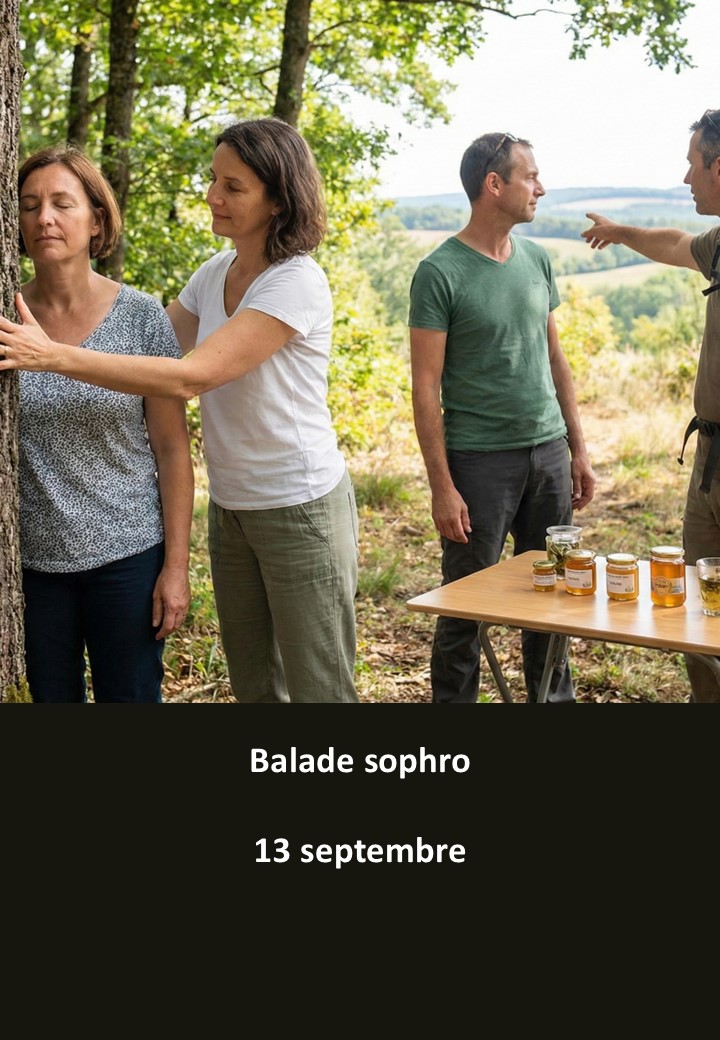 sophro4